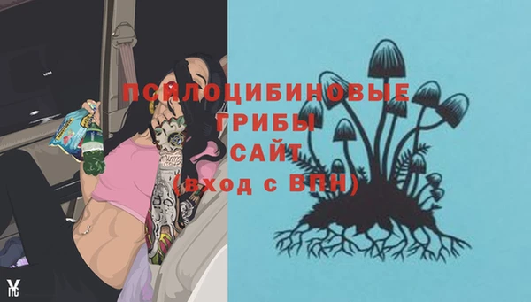 a pvp Балабаново