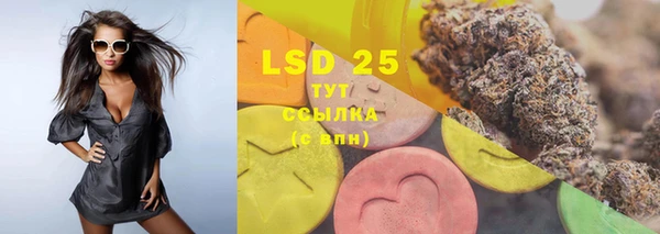 ГАЛЛЮЦИНОГЕННЫЕ ГРИБЫ Балахна