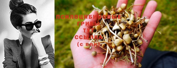 a pvp Балабаново