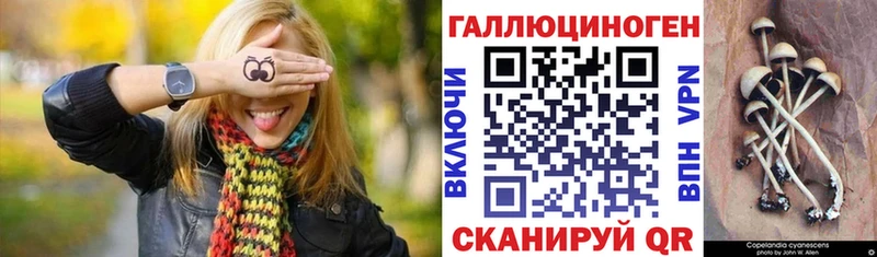 Псилоцибиновые грибы ЛСД магазин продажи наркотиков Каспийск